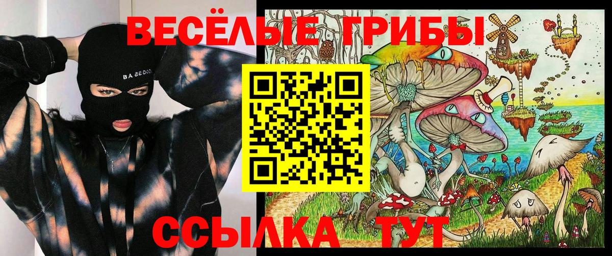 Псилоцибиновые грибы мухоморы Белебей